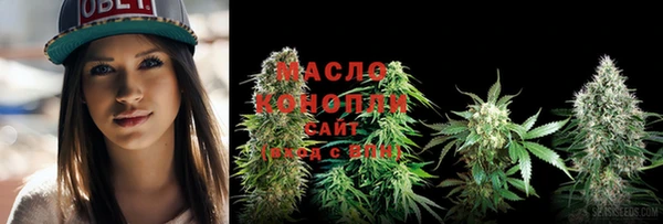 соль ск Богородицк