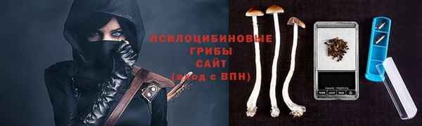 шишки Богданович